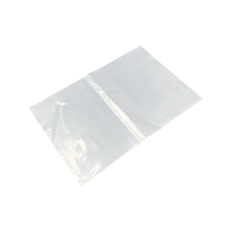 Bolsa transparente con cremallera de PE
